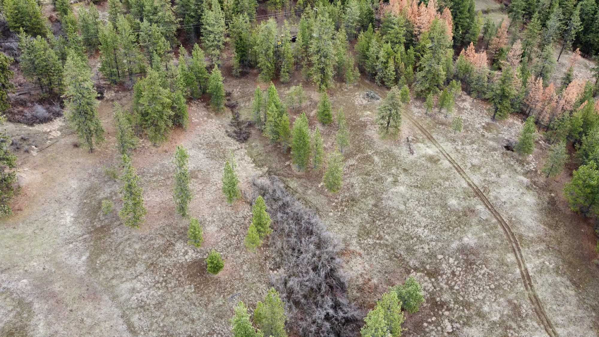 East Holiday Road, Harrison, 83833 - Thumbnail 5