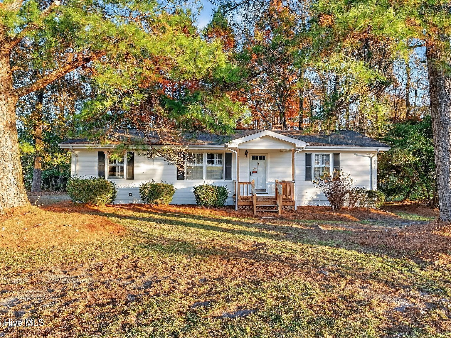 4509 Stevens Chapel Rd Smithfield, NC 27577 - Thumbnail 4