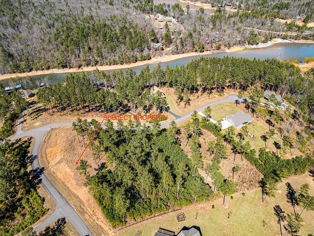 0 Loop Ln Blairsville, GA 30512 - Thumbnail 4