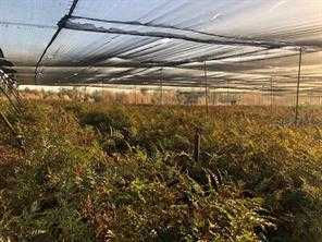 O No Street, Pierson, FL, 32180 - Thumbnail 2