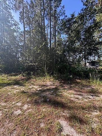 Woodland Ave LOT 88 Paisley, FL 32767 - Thumbnail 4