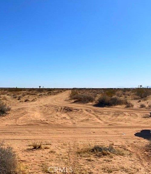 1 Shelby Rd LOT 169 Helendale, CA 92342 - Thumbnail 4