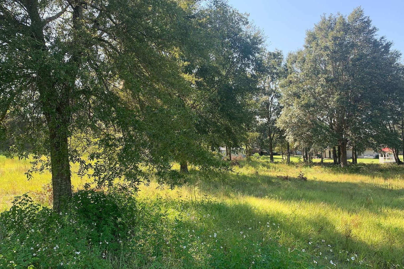 418 SW Huntington Gln Lake City, FL 32024 - Thumbnail 4