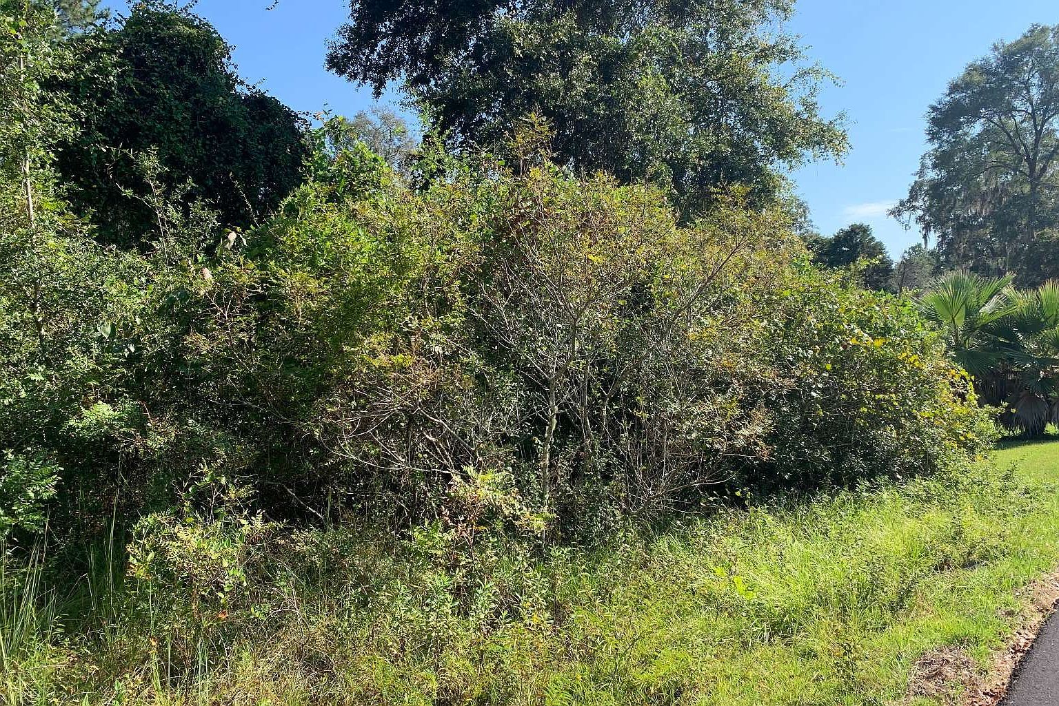 351 NW Heritage Dr Lake City, FL 32055 - Thumbnail 4