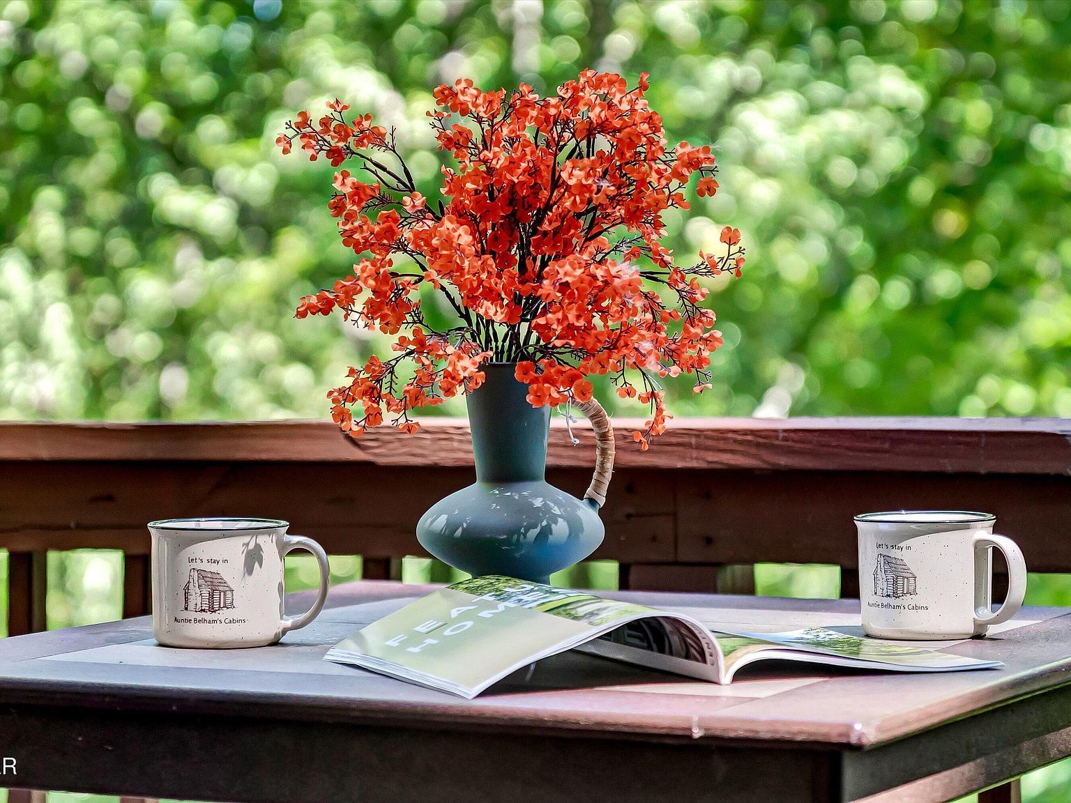 1031 Elm Cir Pigeon Forge, TN 37876 - Thumbnail 4