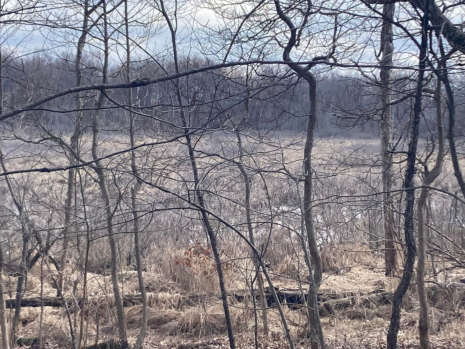 Crystal Springs St Dowagiac, MI 49047 - Thumbnail 4