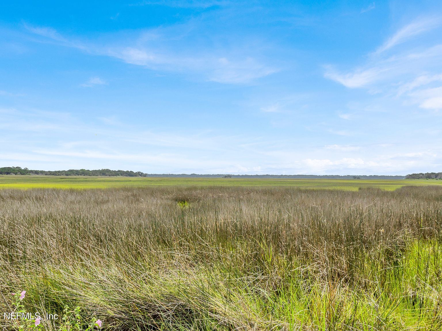 13091 Sawpit Rd Jacksonville, FL 32226 - Thumbnail 4