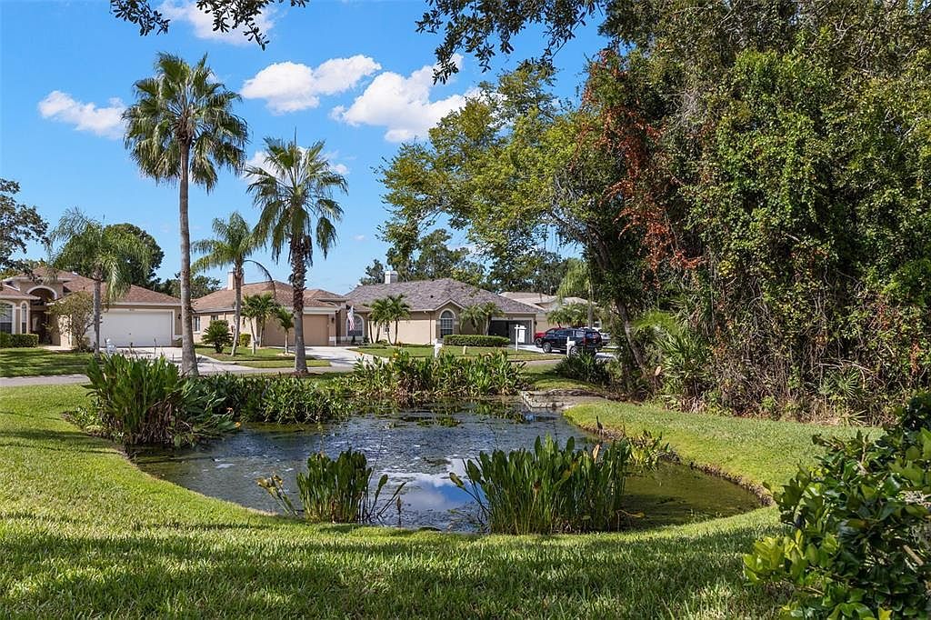 604 Kingsmill Ct Oldsmar, FL 34677 - Thumbnail 4