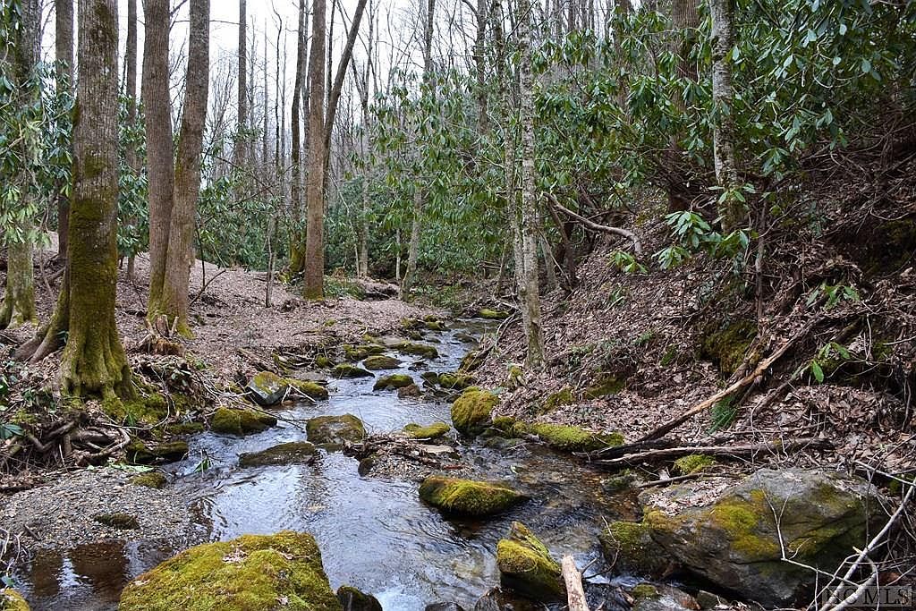 Multi Spike Moss Rd Sapphire, NC 28774 - Thumbnail 4