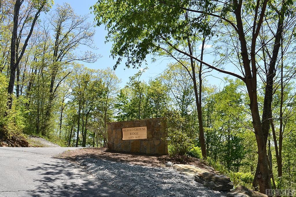 LOT 35 Hidden Grouse Ln Sapphire, NC 28774 - Thumbnail 4