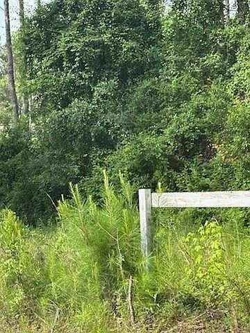 45075 Chemekette Rd, Robert, LA, 70455 - Thumbnail 4