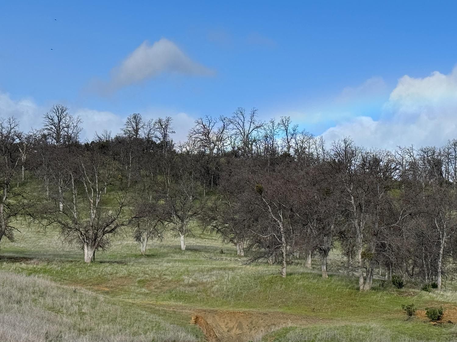 4289 Sites Lodoga Rd Stonyford, CA 95979 - Thumbnail 4