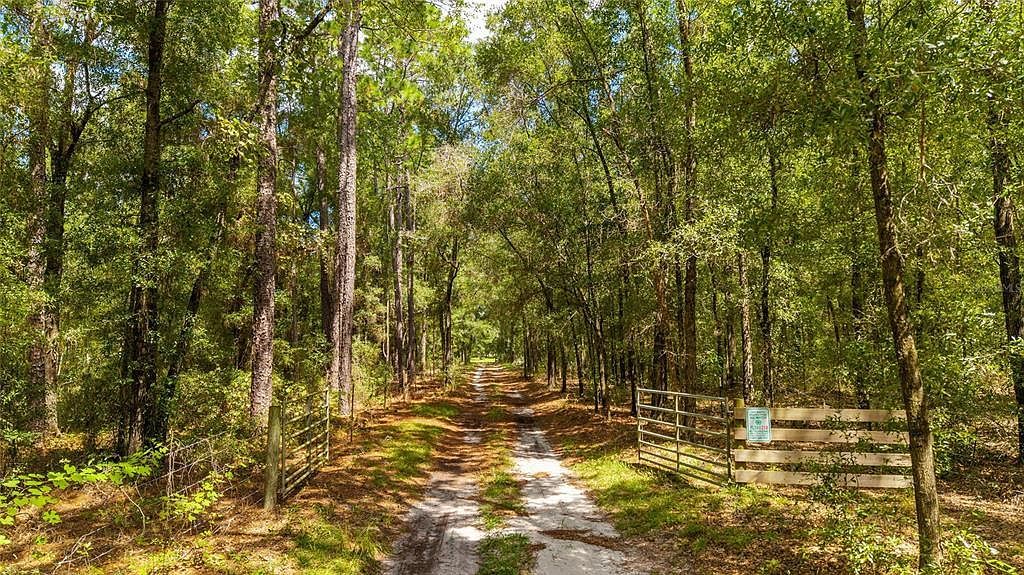 35 Southeast St Morriston, FL 32668 - Thumbnail 4