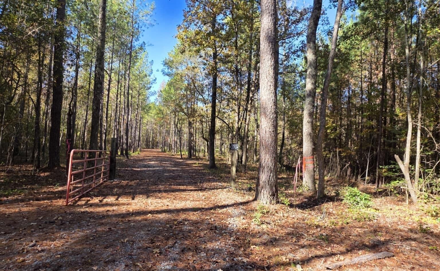 1 Cameron Hill Rd Cameron, NC 28326 - Thumbnail 4