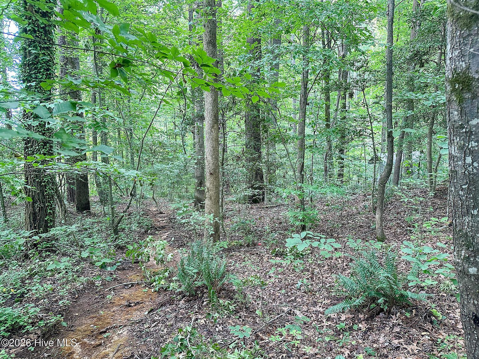 S Point Lot 80 Sanford, NC 27332 - Thumbnail 4