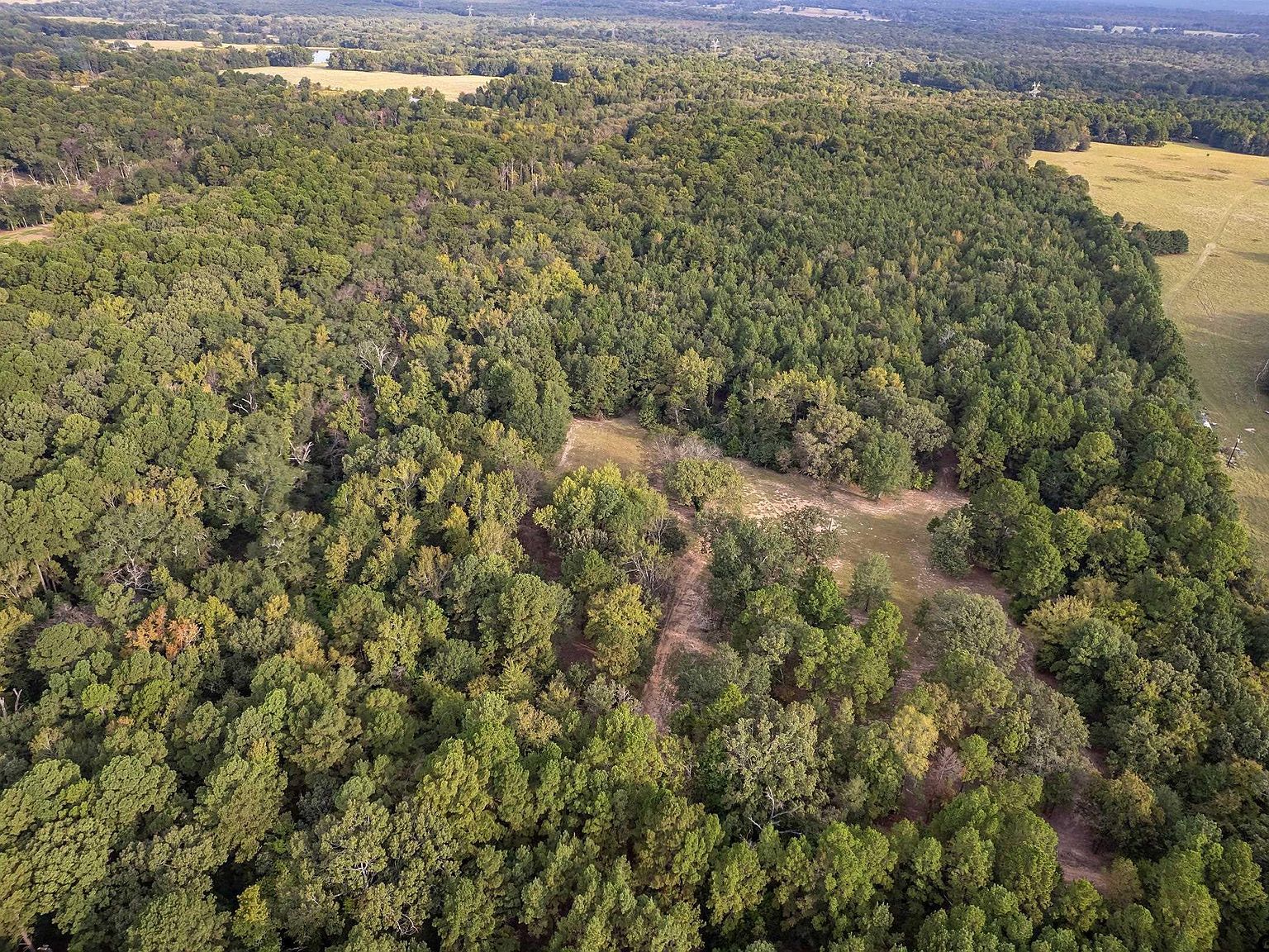 13130 County Road 4124 Lindale, TX 75771 - Thumbnail 4