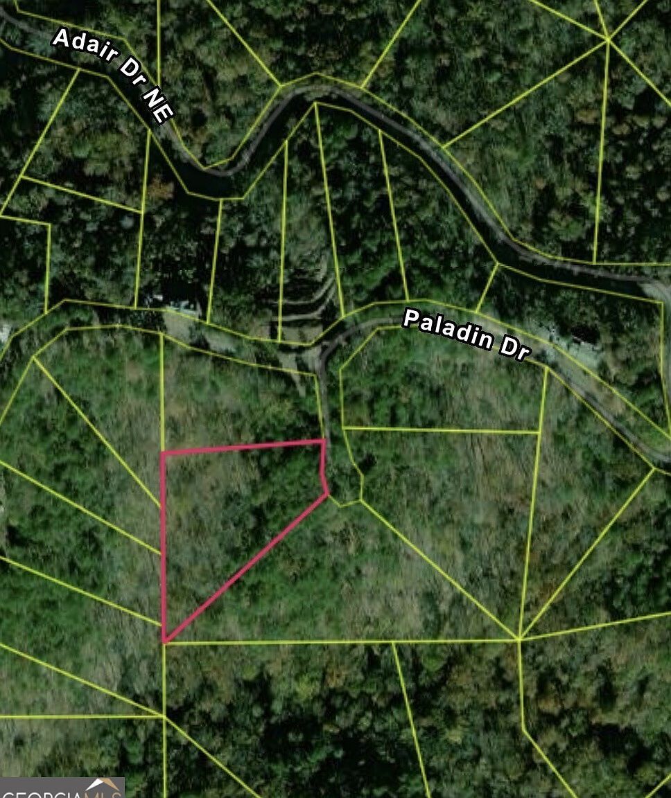 335 Packet Ct Ranger, GA 30734 - Thumbnail 4