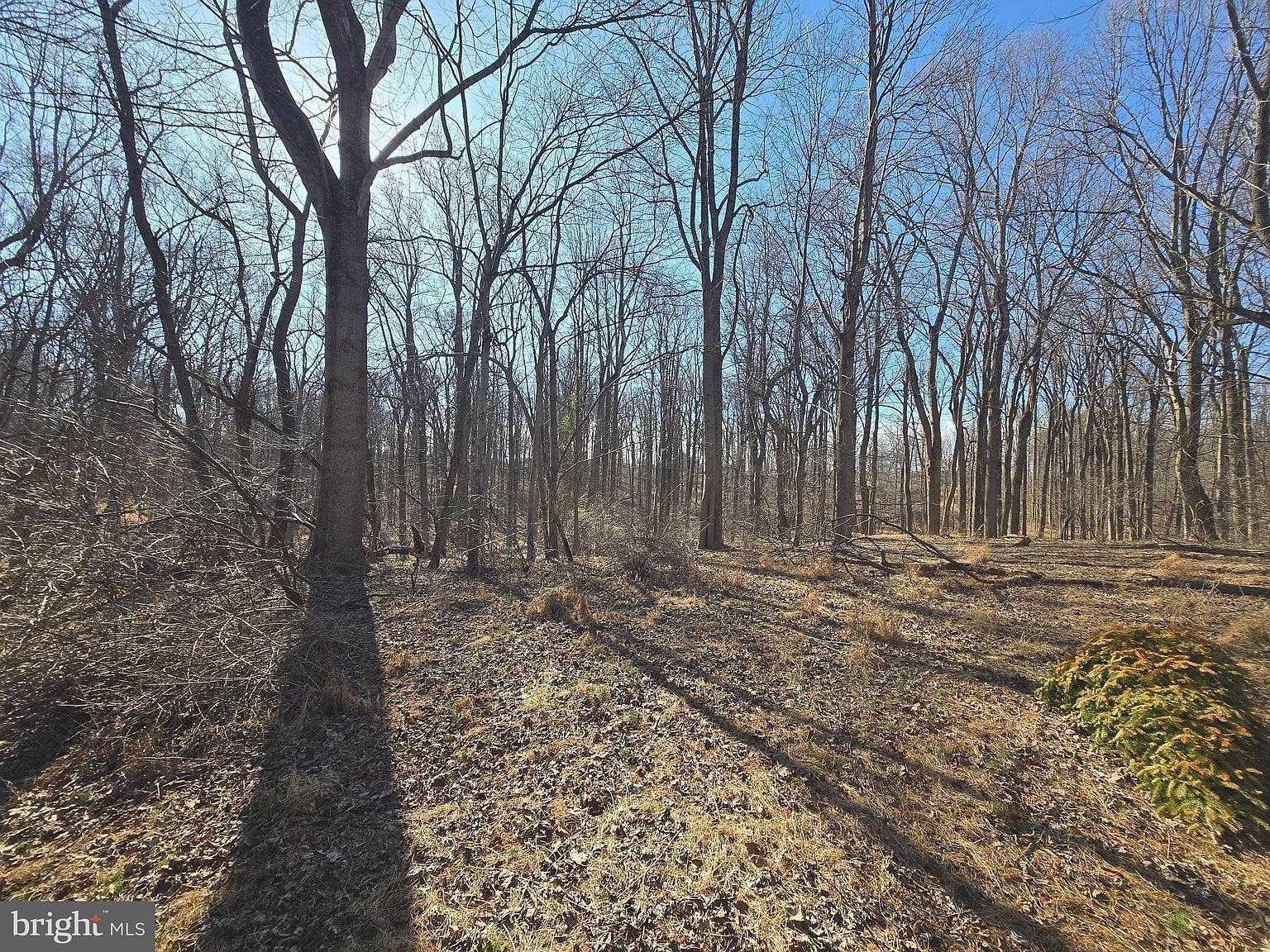 1156 Day Rd Sykesville, MD 21784 - Thumbnail 4