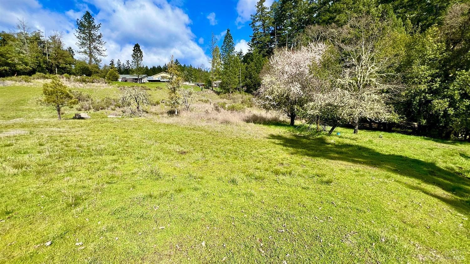 25631 Daphne Way Willits, CA 95490 - Thumbnail 4