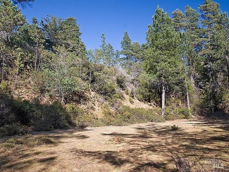46109 Fish Rock Rd Gualala, CA 95445 | Land/Lot