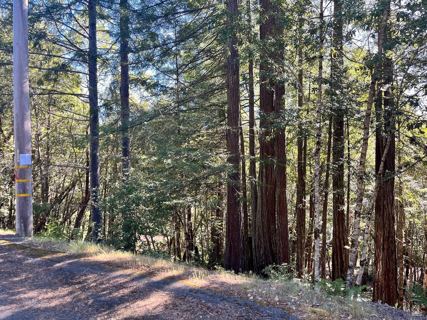 25143 Blue Jay Pl Willits, CA 95490 - Thumbnail 4