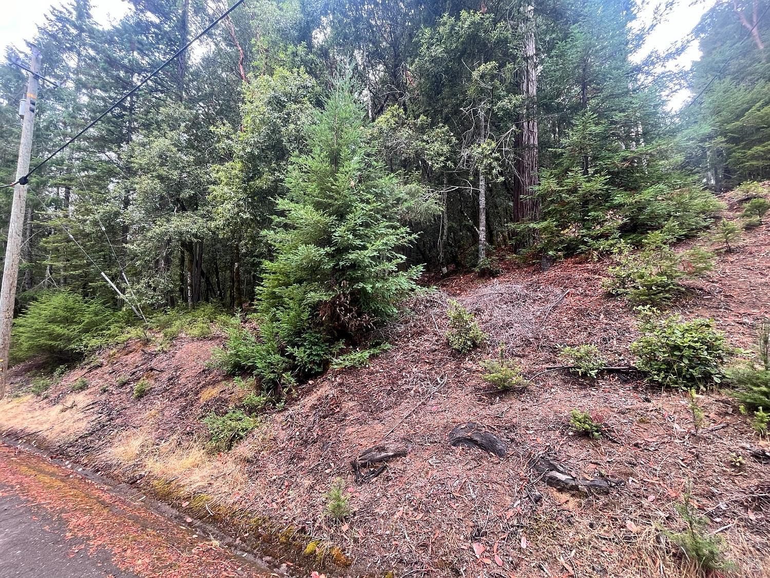 1817 Clover Dr Willits, CA 95490 - Thumbnail 4