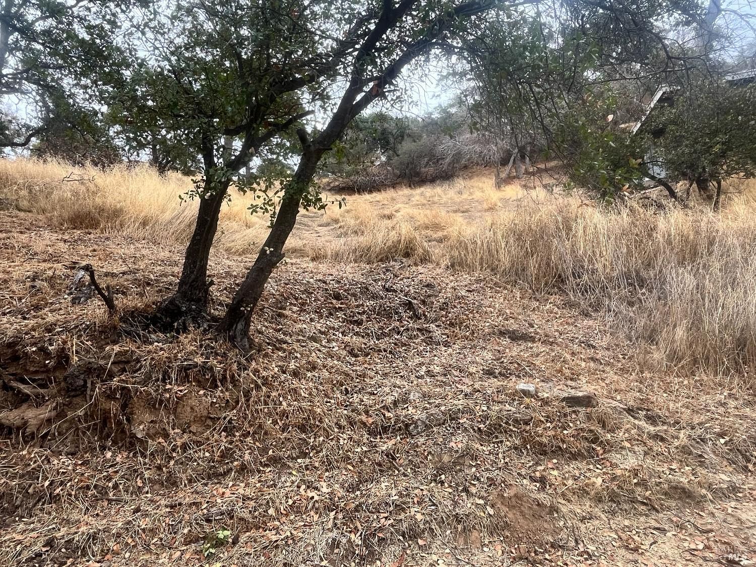 11478 Lakeshore Dr Clearlake, CA 95422 - Thumbnail 4