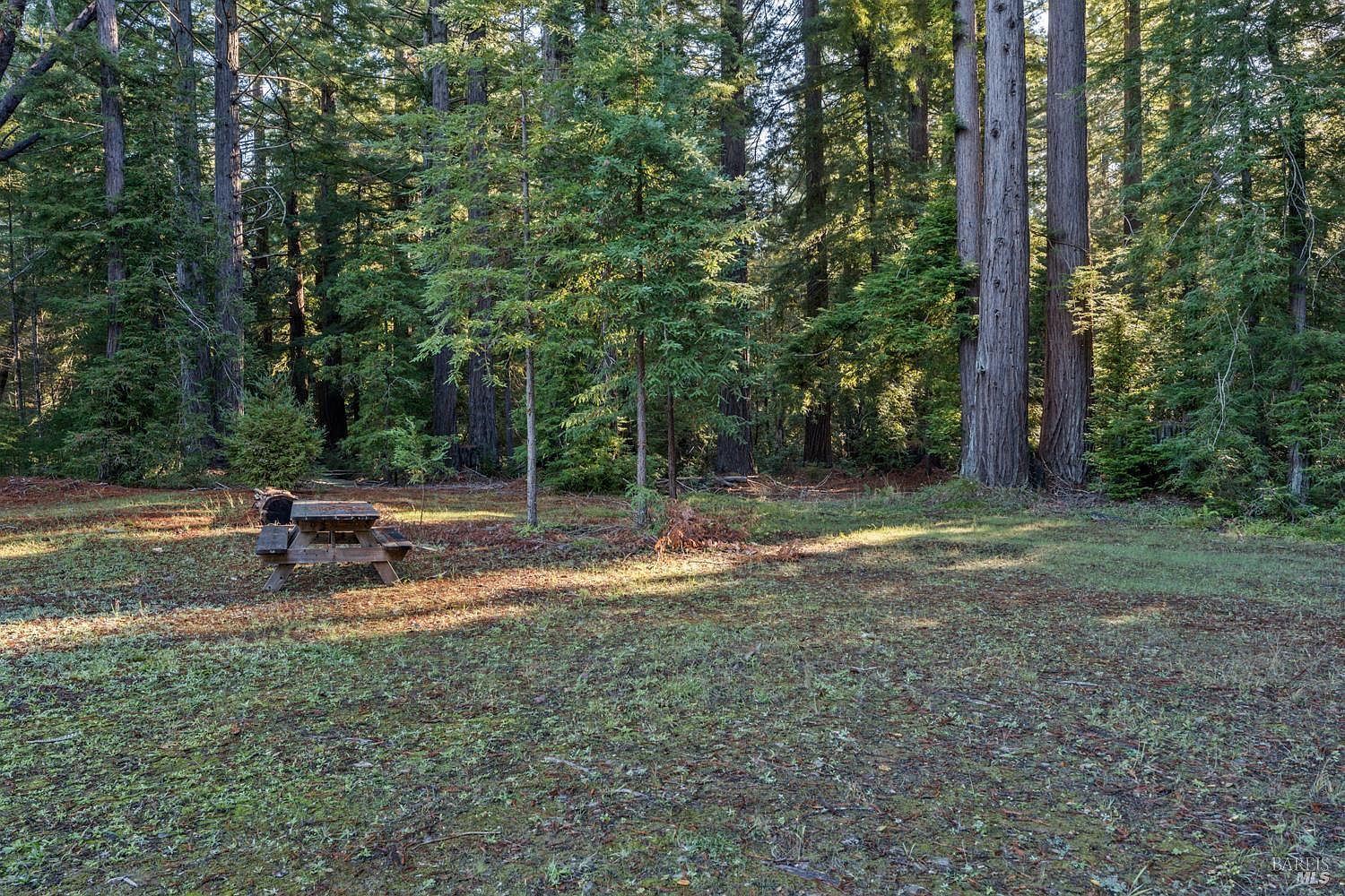 7680 Highway 128 Philo, CA 95466 - Thumbnail 4