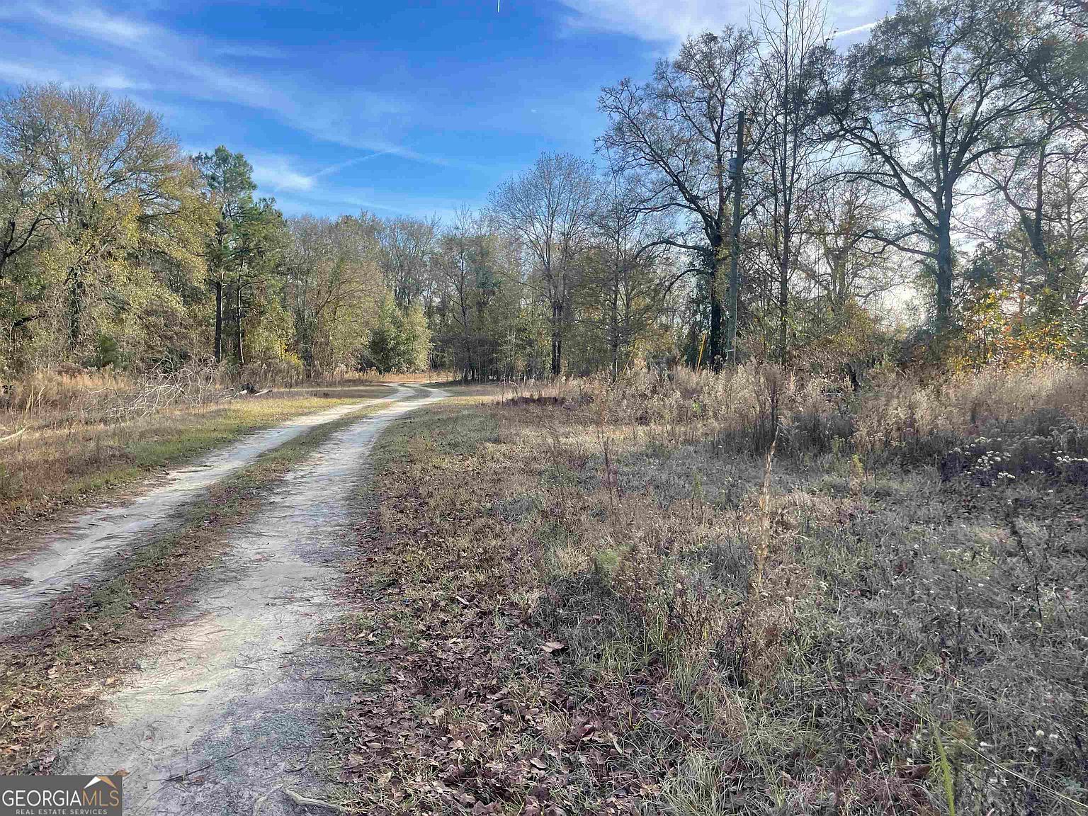 0 Mount Olive Way Soperton, GA 30457 - Thumbnail 4