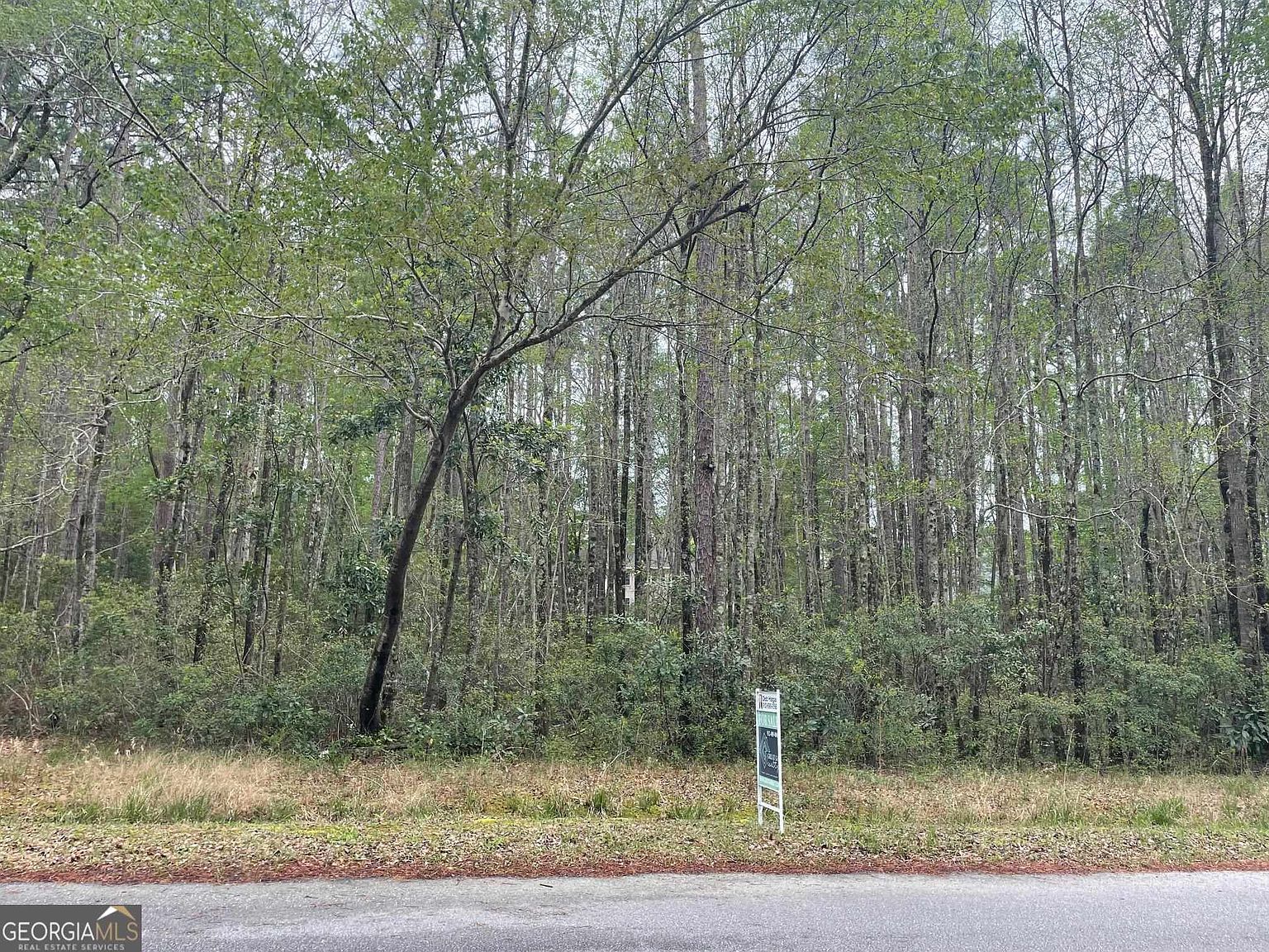 LOT Nine 0 Plantation Trl Statesboro, GA 30461 - Thumbnail 4