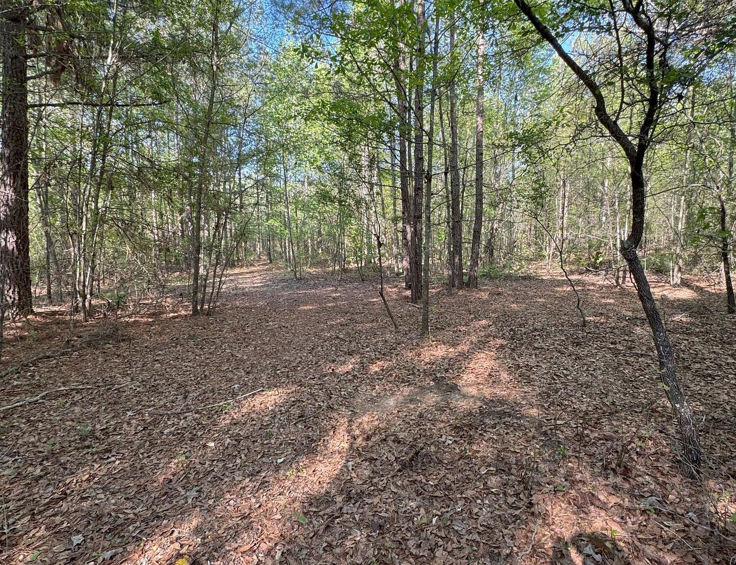 0 Middleground Rd Louisville, GA 30434 - Thumbnail 4