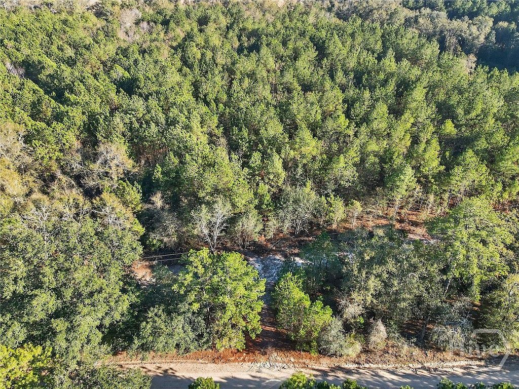 0 Beautiful Zion Cemetery Rd Pembroke, GA 31321 - Thumbnail 4