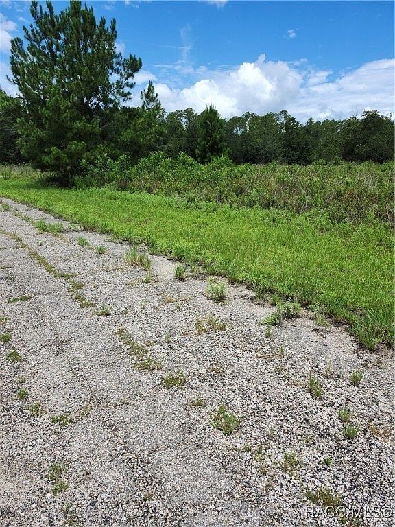 573 E Hope Pl Citrus Springs, FL 34434 - Thumbnail 4