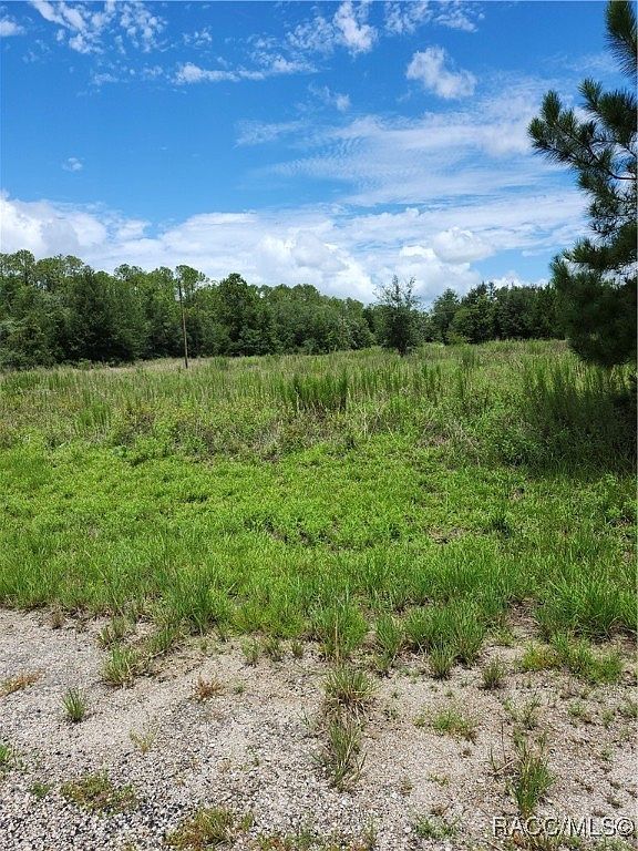 555 E Hope Pl Citrus Springs, FL 34434 - Thumbnail 4