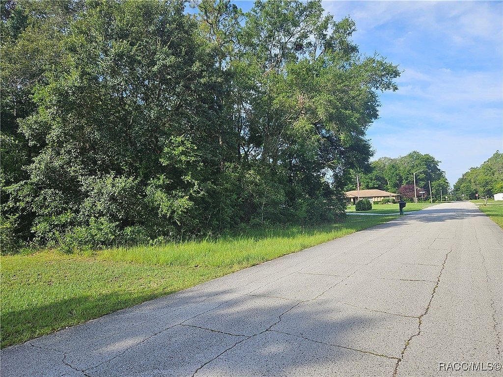 2004 W Rutland Dr Citrus Springs, FL 34434 - Thumbnail 4