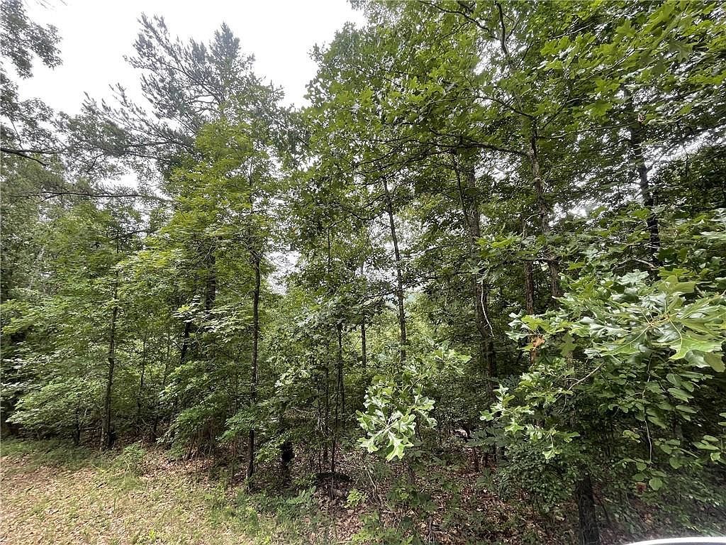 933 Apex Ct #933 Ranger, GA 30734 - Thumbnail 4