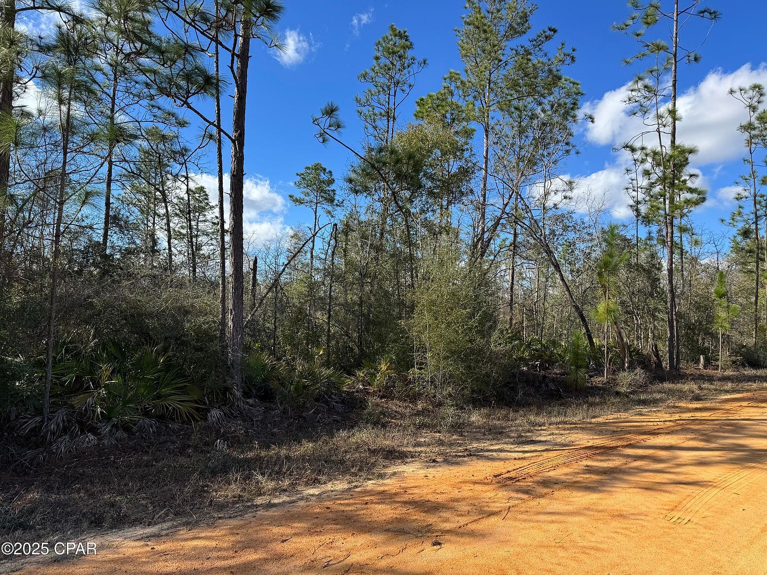 0 Monogahela Ave Alford, FL 32420 - Thumbnail 4