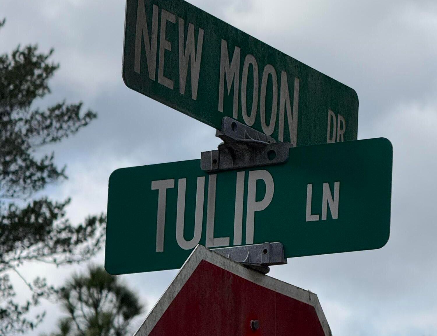 0 New Moon Dr Chipley, FL 32428 - Thumbnail 4