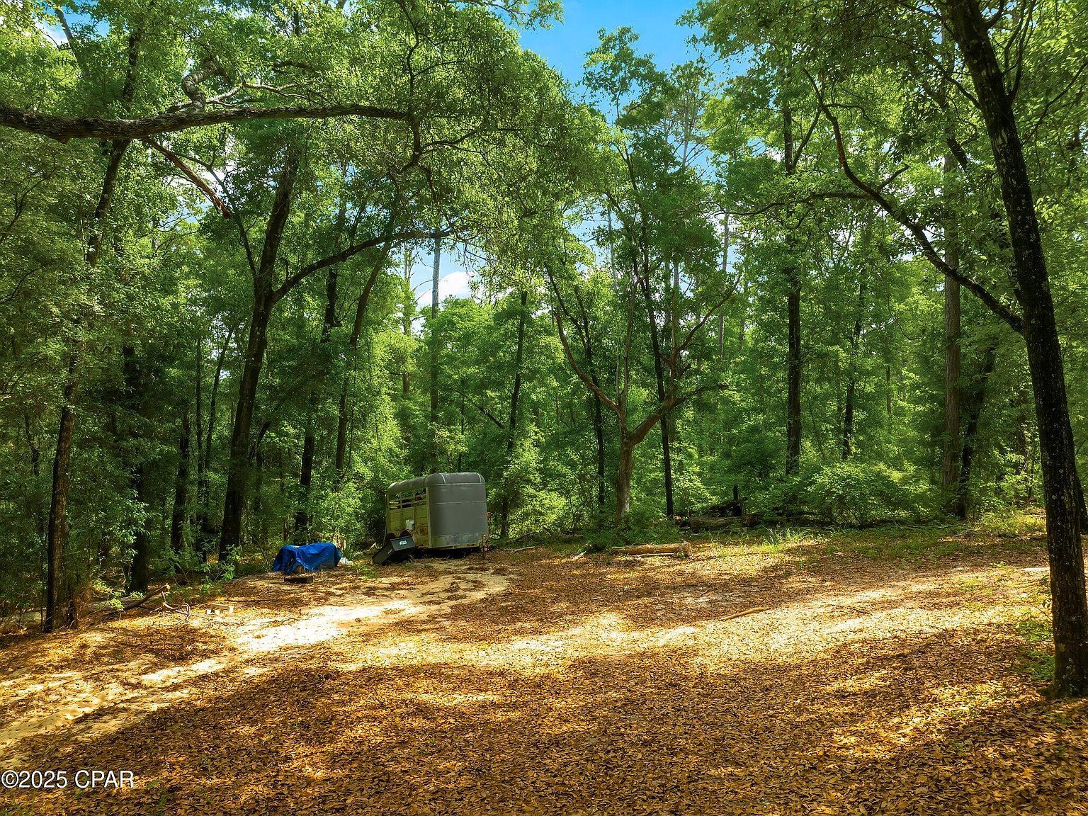 0 Corgi Ln Chipley, FL 32428 - Thumbnail 4