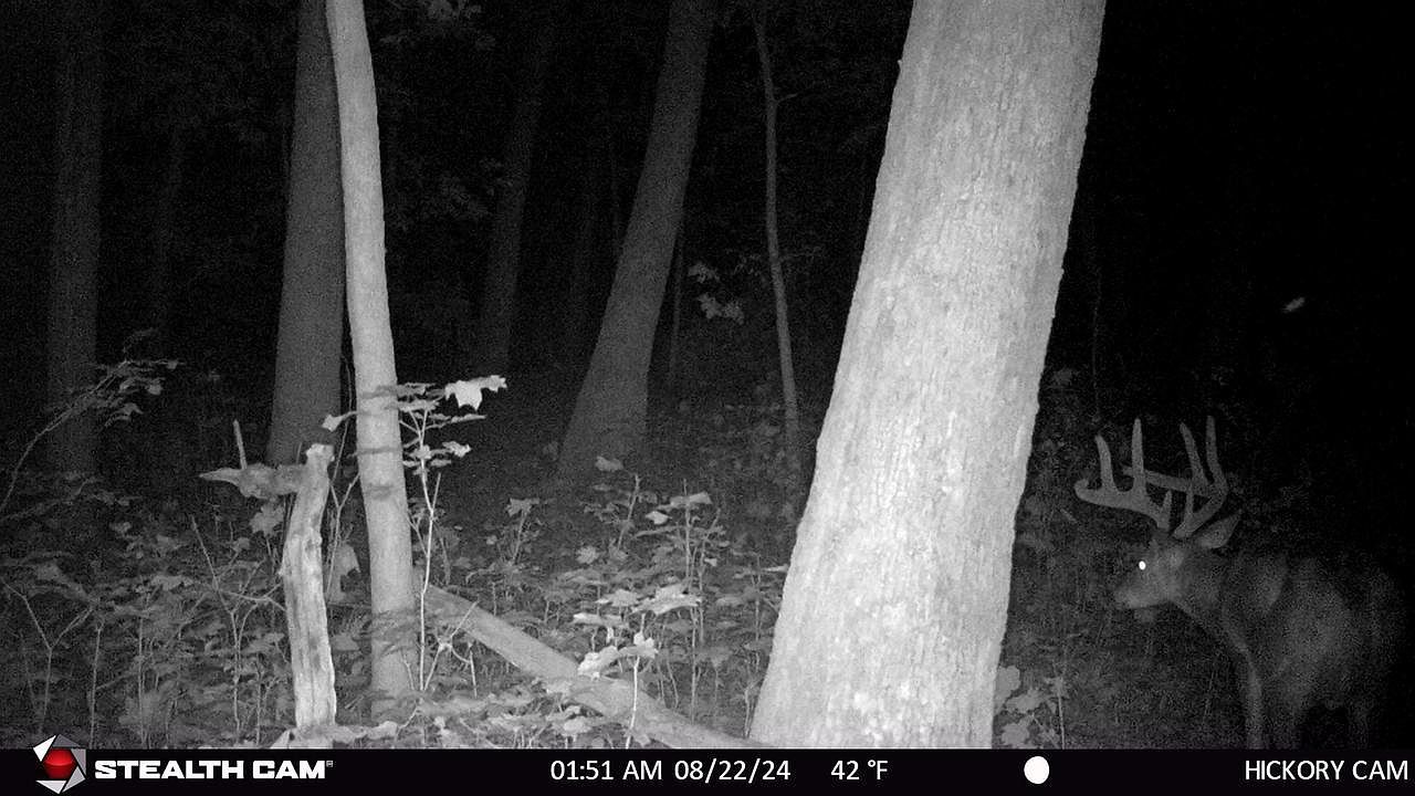 E11327 Shady Lane Rd Baraboo, WI 53913 - Thumbnail 4