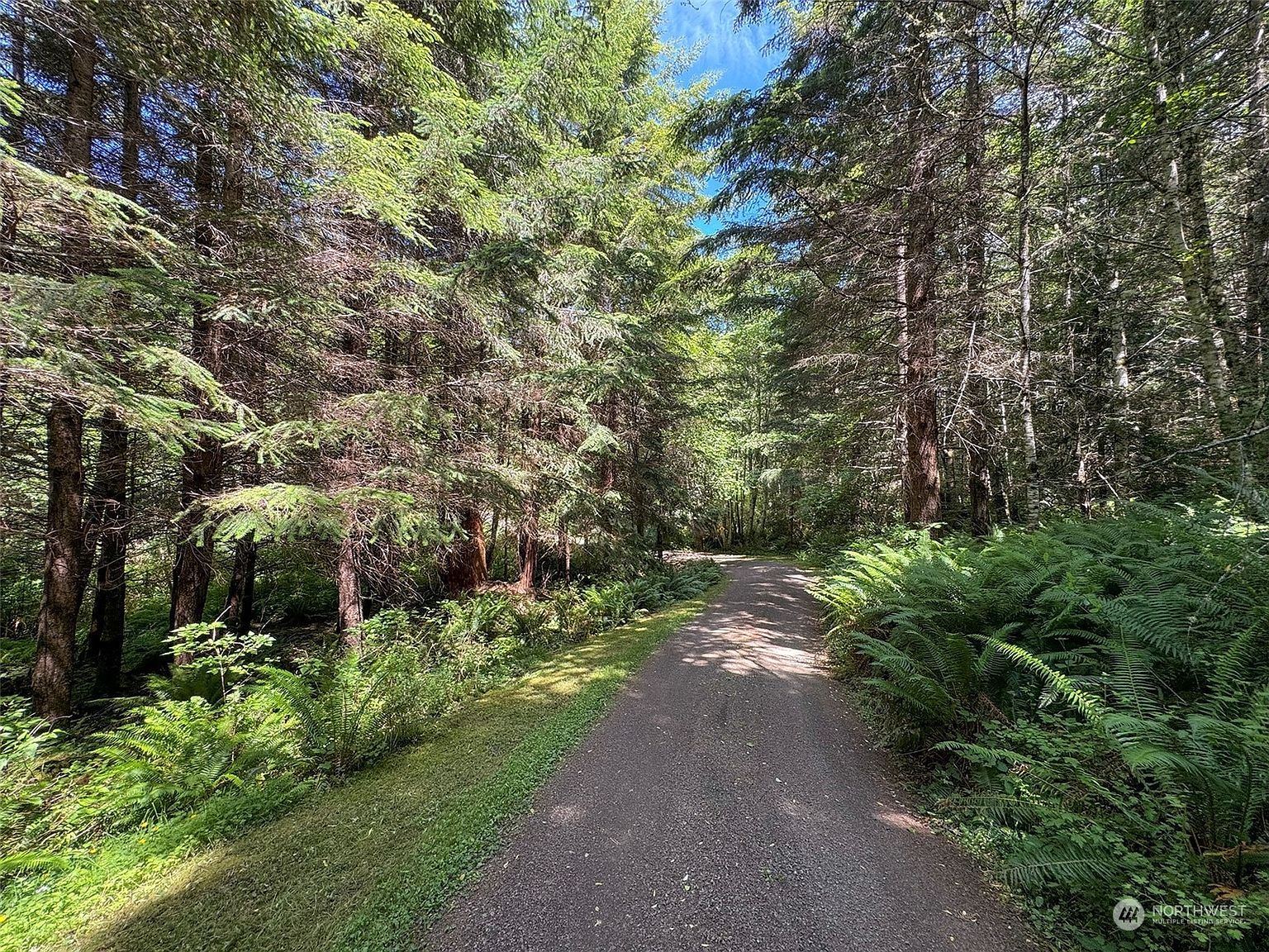 325 Evergreen View Pkwy Port Angeles, WA 98363 - Thumbnail 4