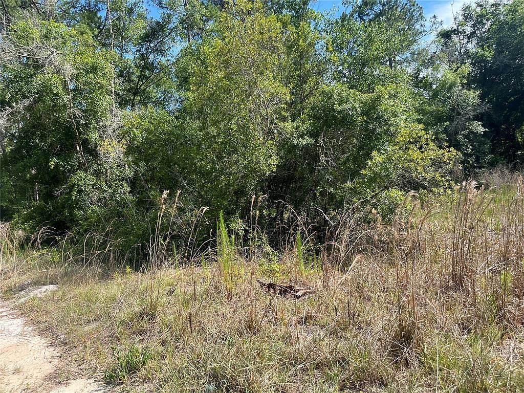 307 Mallard Rd #6 Satsuma, FL 32189 - Thumbnail 4