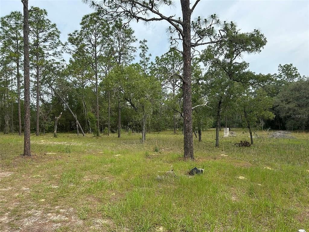 2060 E Mary Lue St Inverness, FL 34453 - Thumbnail 4