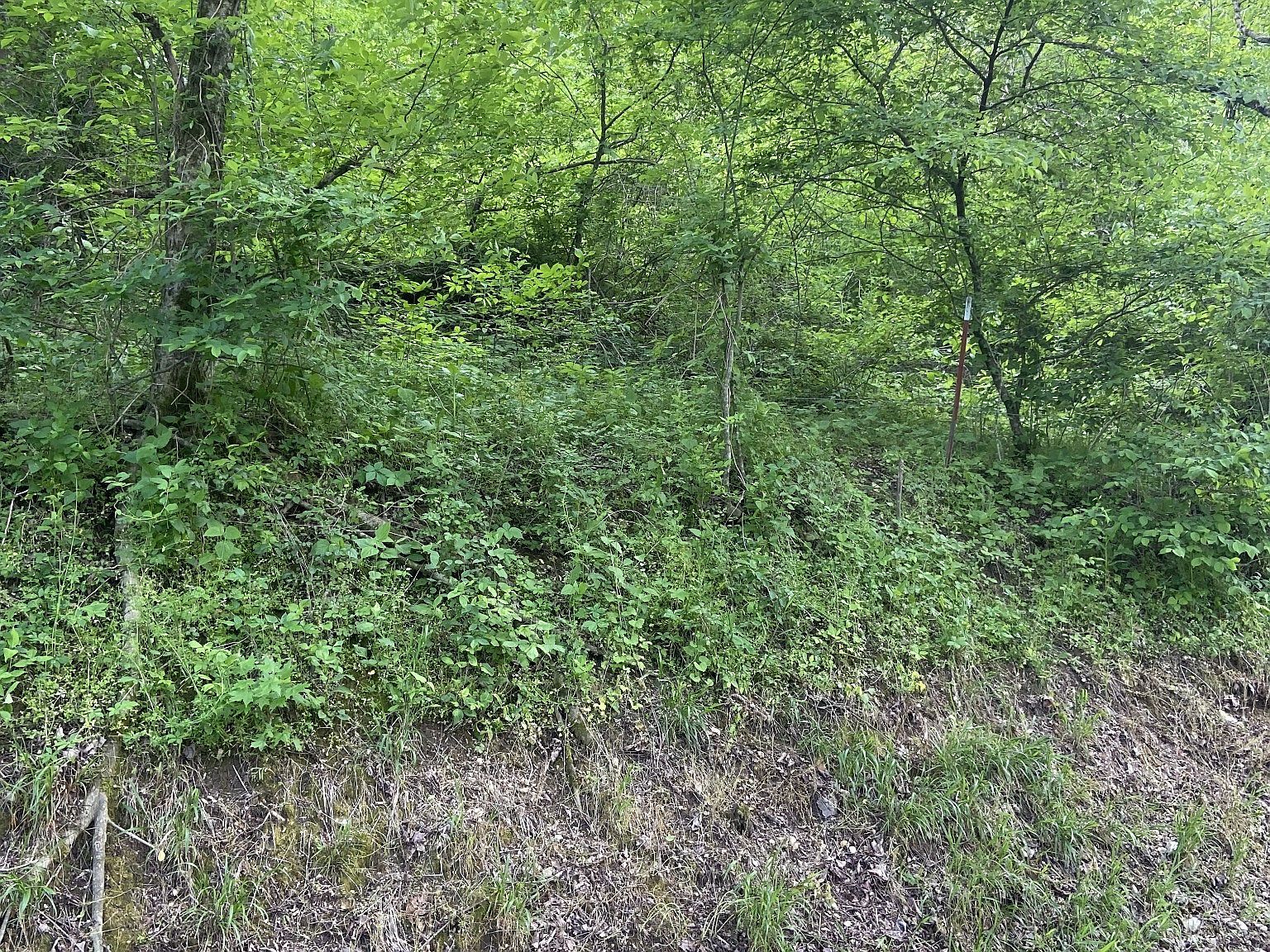 0 Possum Trott Rd Shelbyville, TN 37160 - Thumbnail 4