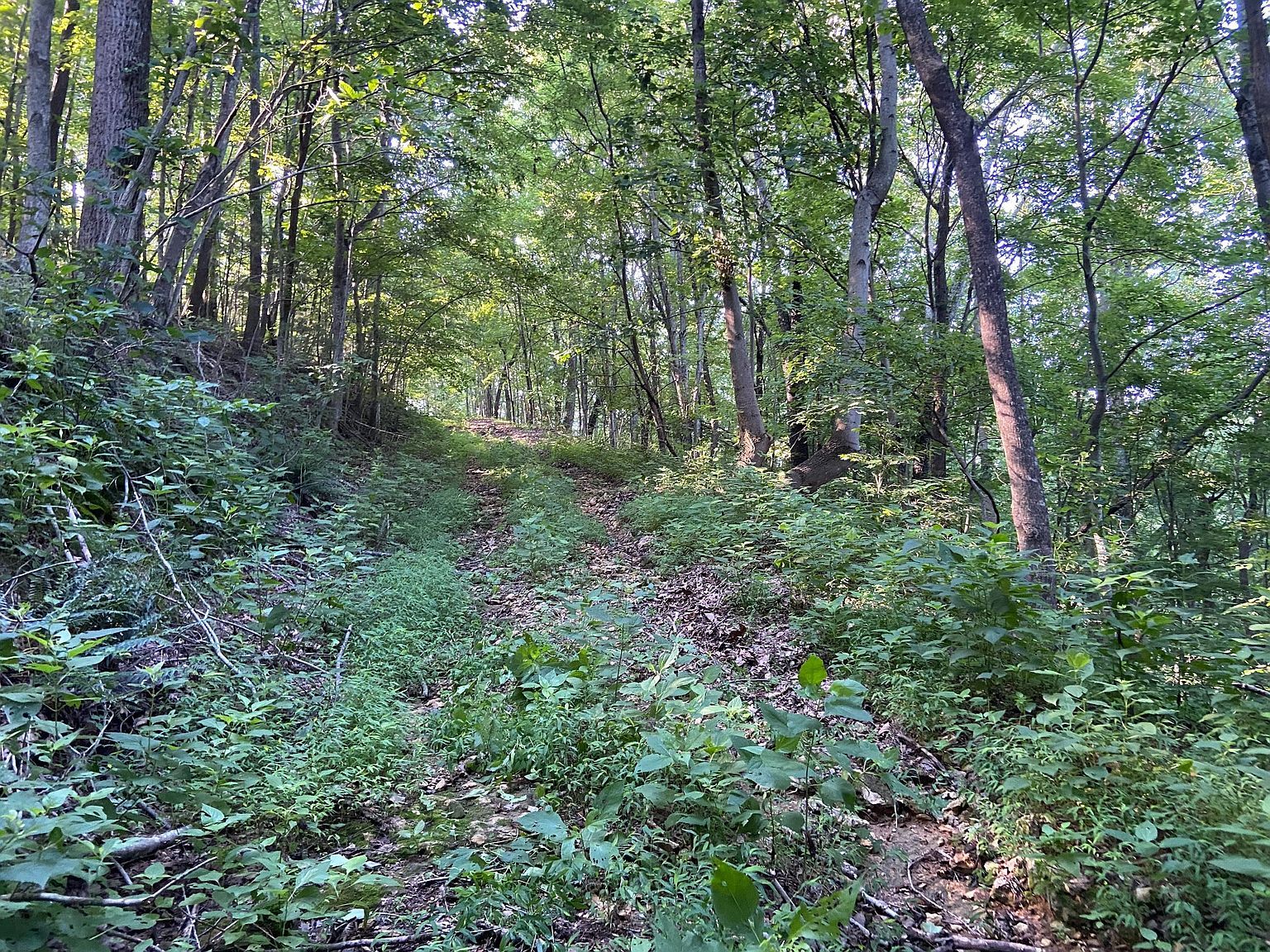 3147 Dale Ridge Rd Dowelltown, TN 37059 - Thumbnail 4