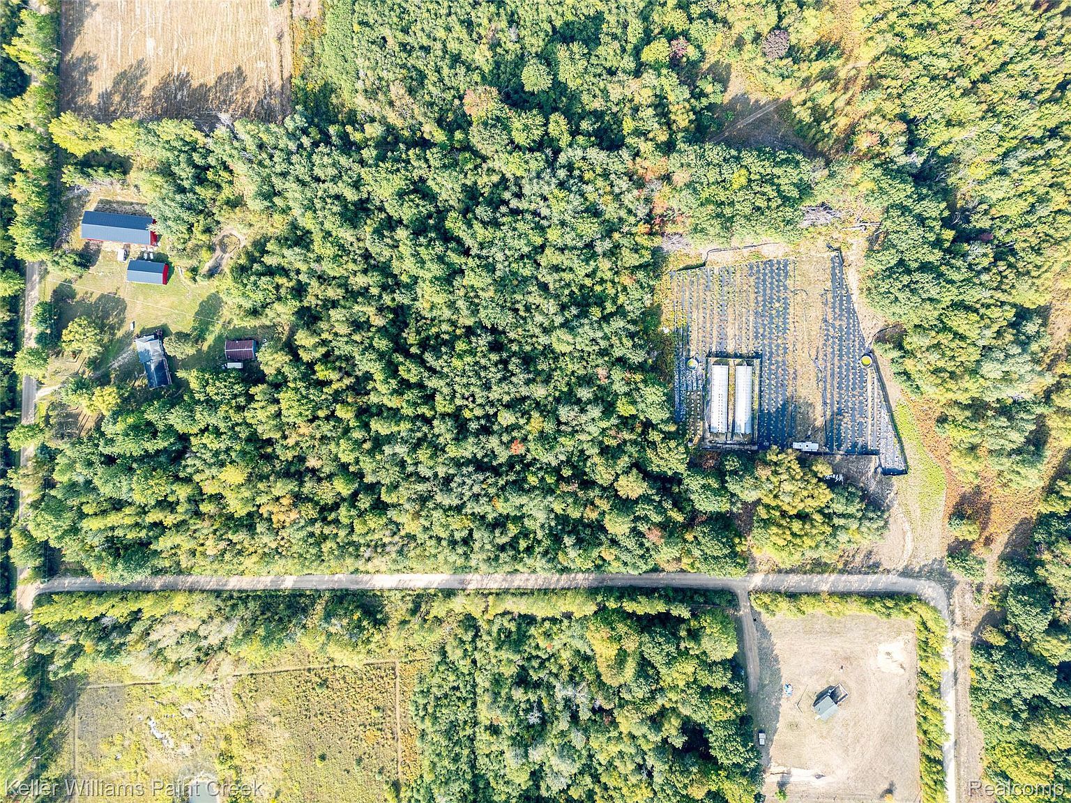 5852 NW County Line Rd Coleman, MI 48618 - Thumbnail 4