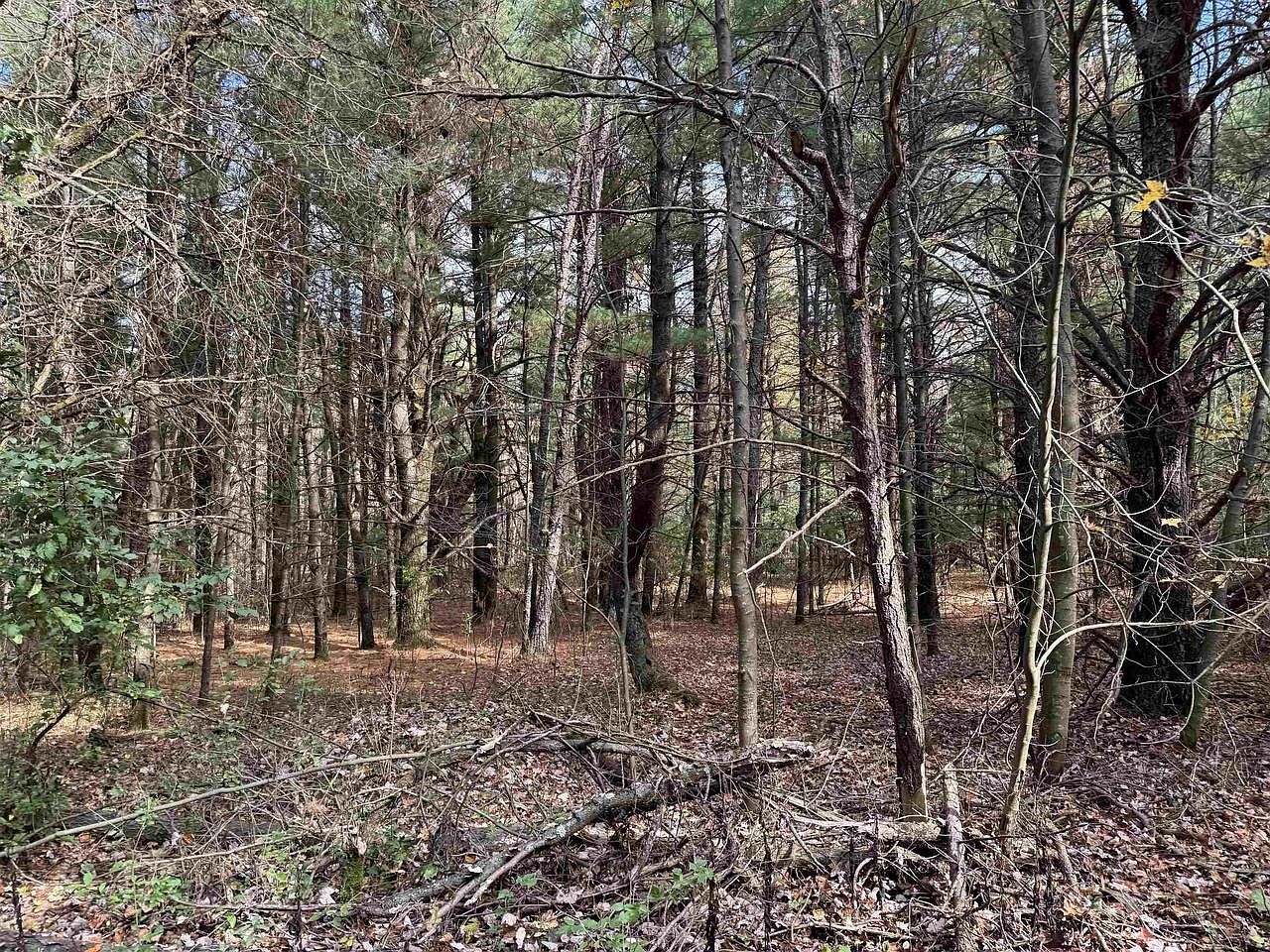 LOT 26 Sunset Dr Wisconsin Dells, WI 53965 - Thumbnail 4