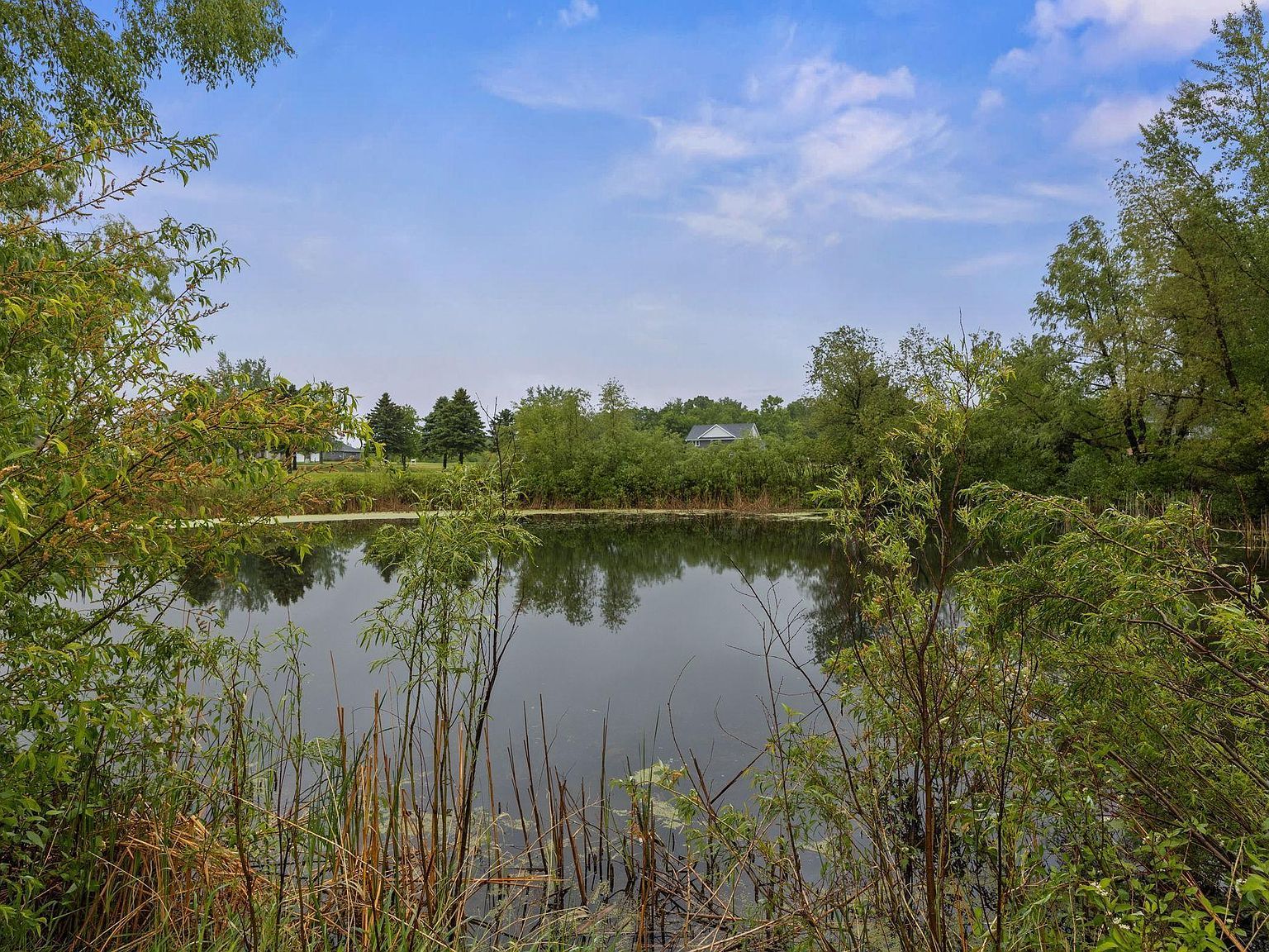 970 Acacia Dr S Annandale, MN 55302 - Thumbnail 4