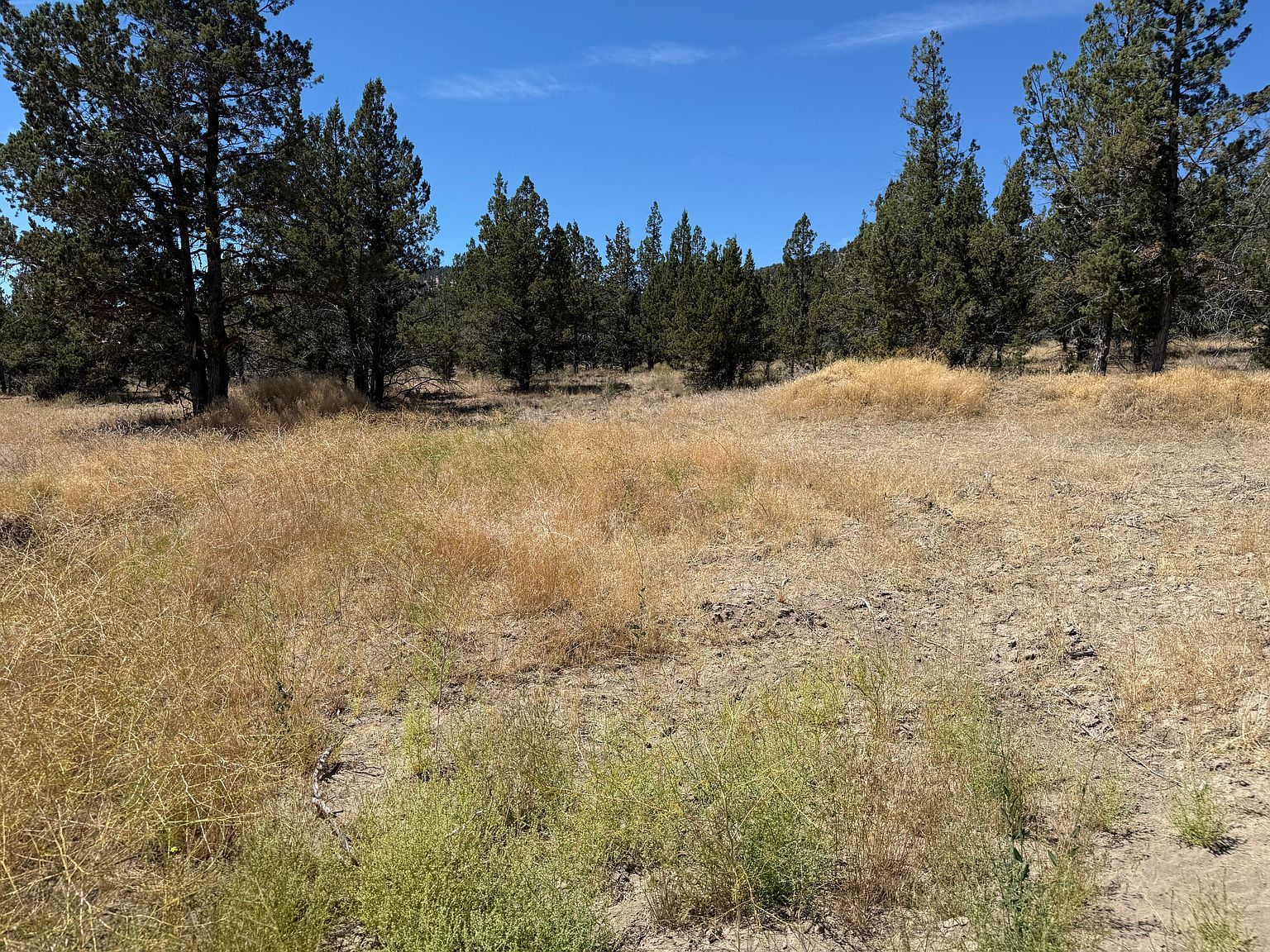 10164 SE Sundown Ln Prineville, OR 97754 - Thumbnail 4