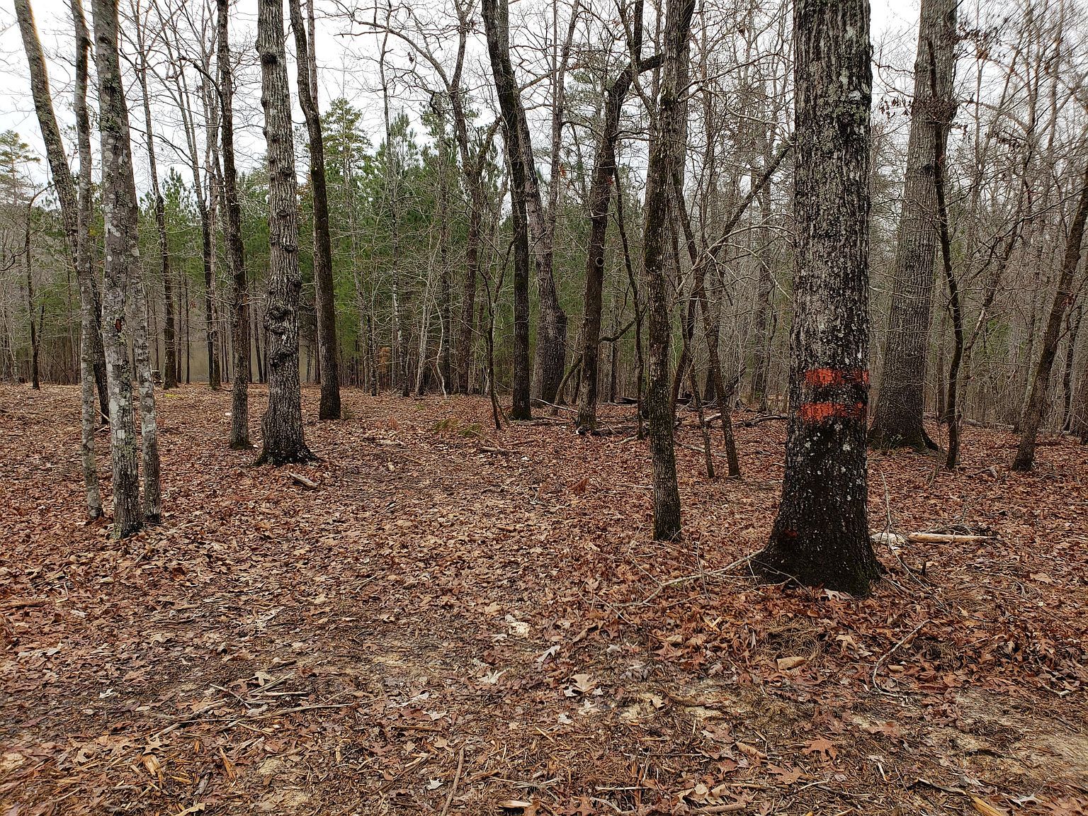 1102 Dogwood Dr Lincolnton, GA 30817 | Land/Lot